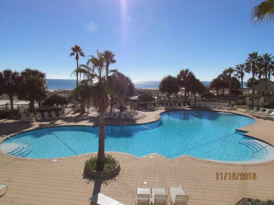 Doral 103 - Charming Beachfront / Ground Floor Condo! Gulf Shores Exterior photo